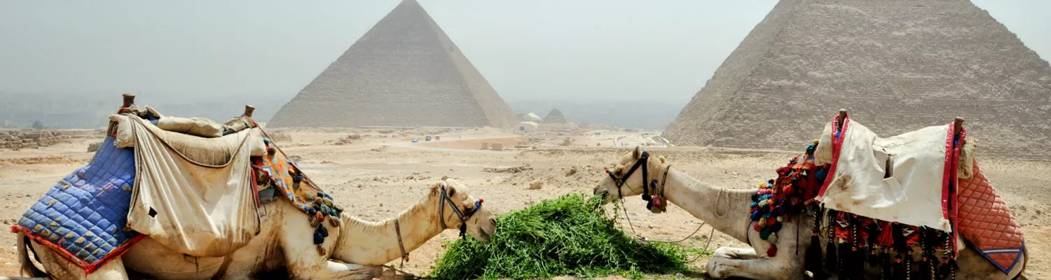 Cairo