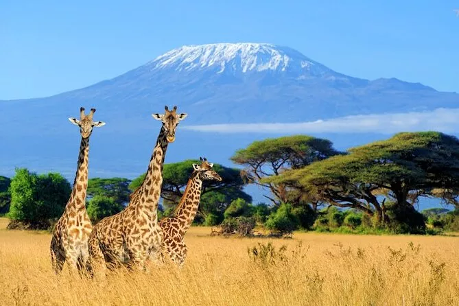 Kenia