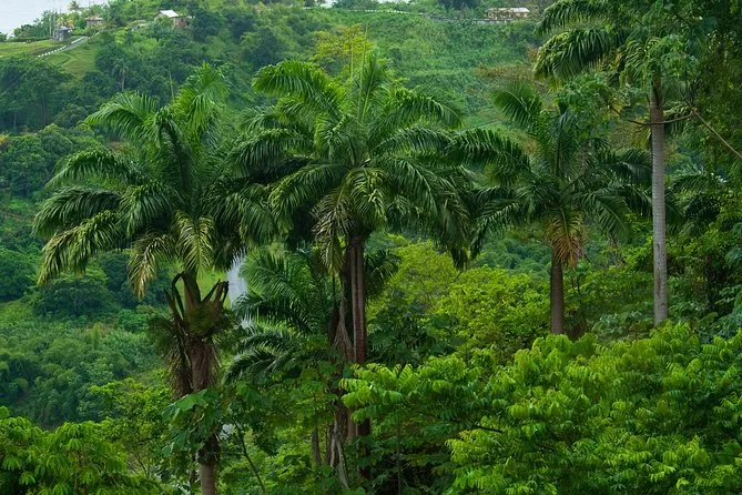 Uganda