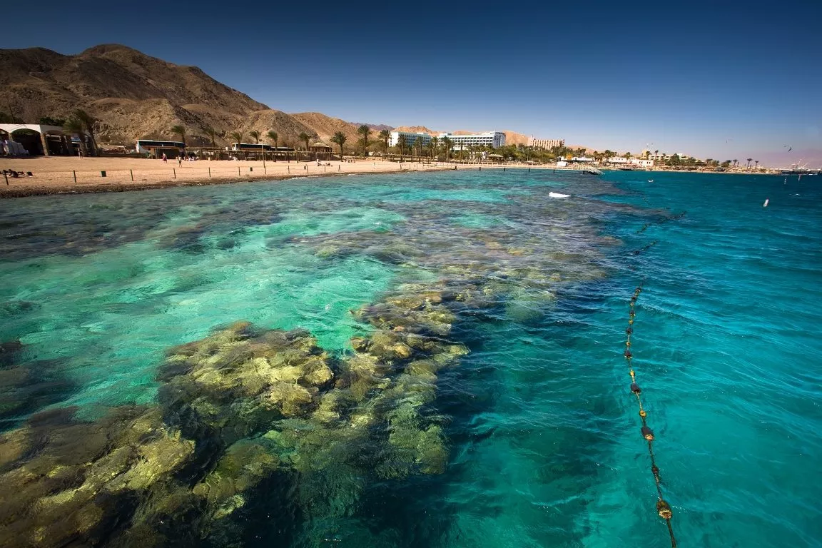 View of Coral Beach shoreline with turquoise water and reef