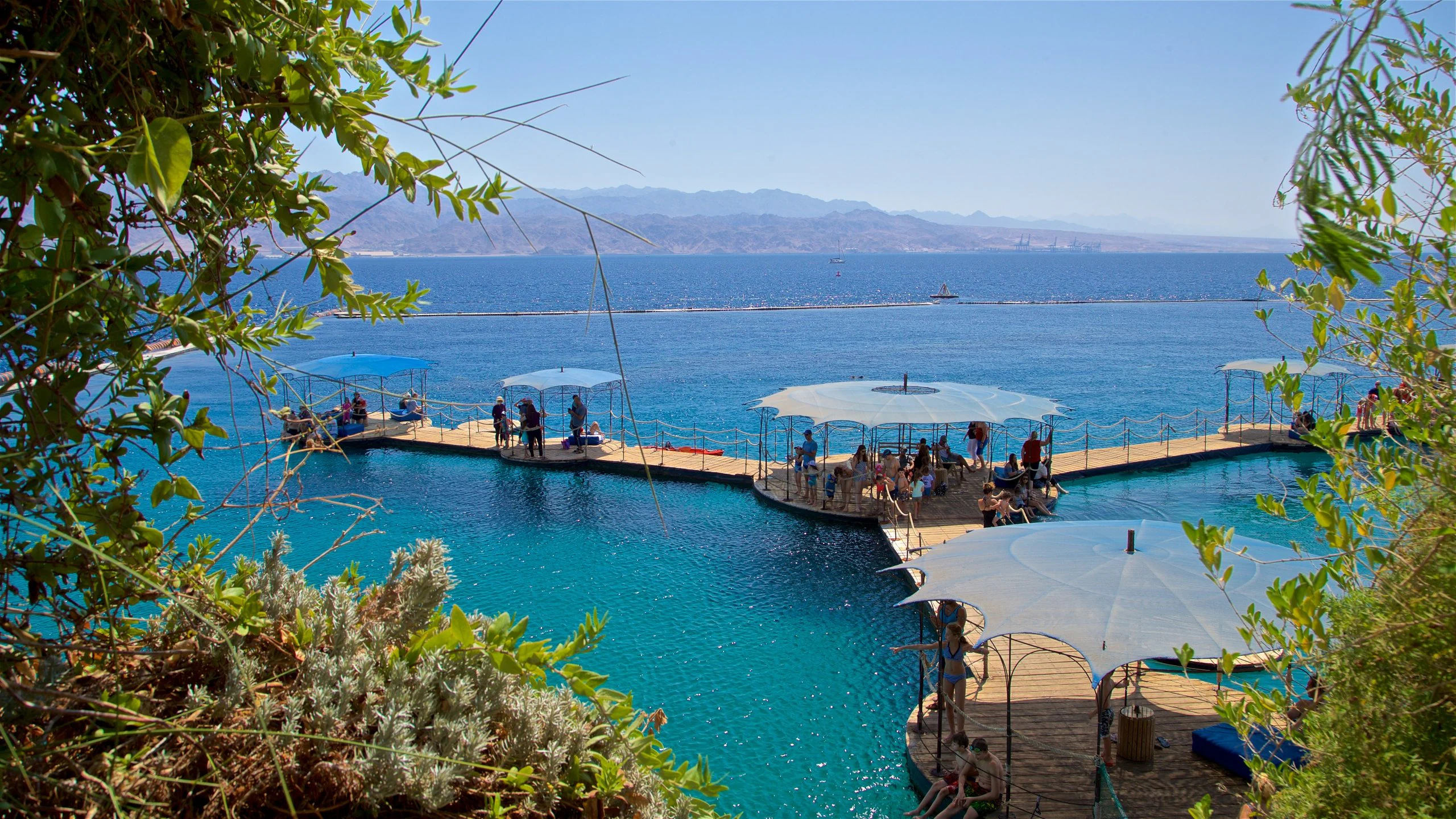 Dolphin Reef Eilat banner image
