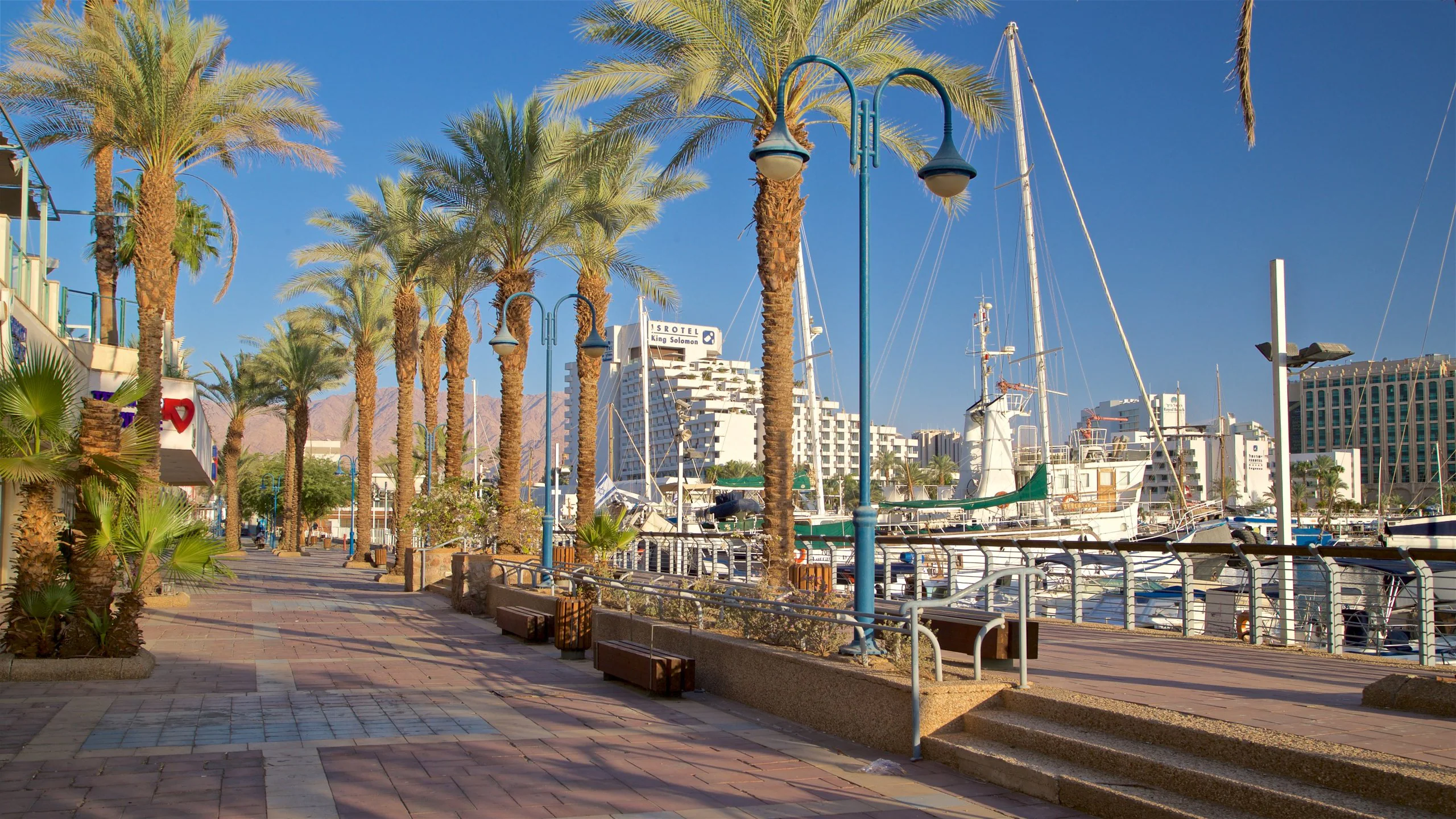 Illustration of Eilat promenade with palms, Red Sea and red mountains